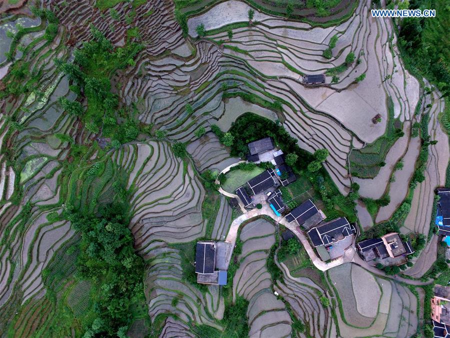 #CHINA-GUIZHOU-YUQING-TERRACED FIELDS (CN)