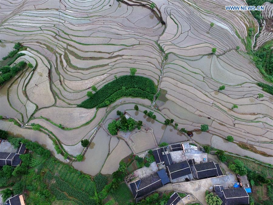 #CHINA-GUIZHOU-YUQING-TERRACED FIELDS (CN)