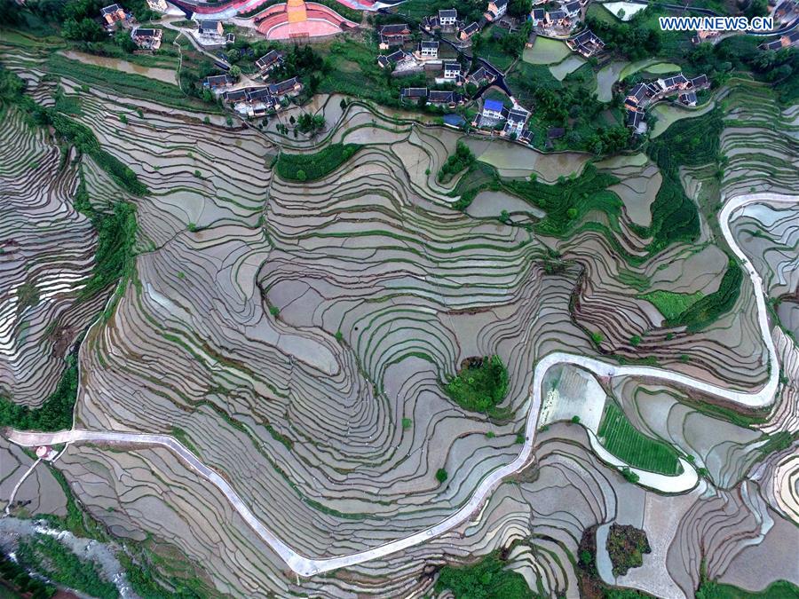 #CHINA-GUIZHOU-YUQING-TERRACED FIELDS (CN)