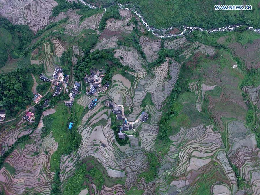 #CHINA-GUIZHOU-YUQING-TERRACED FIELDS (CN)