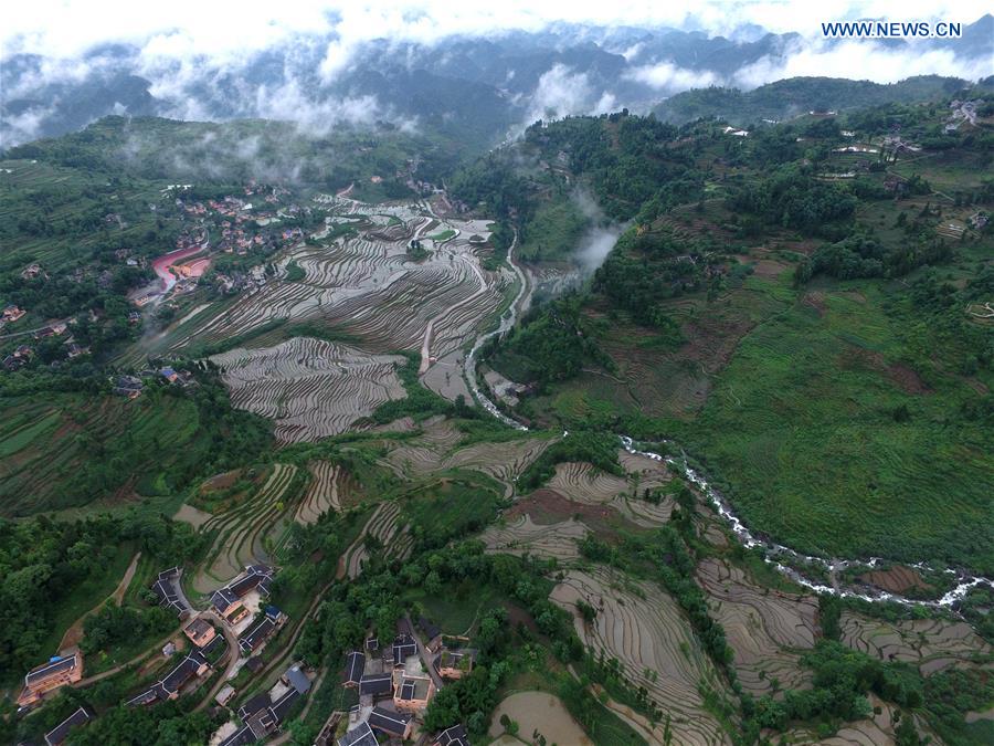 #CHINA-GUIZHOU-YUQING-TERRACED FIELDS (CN)