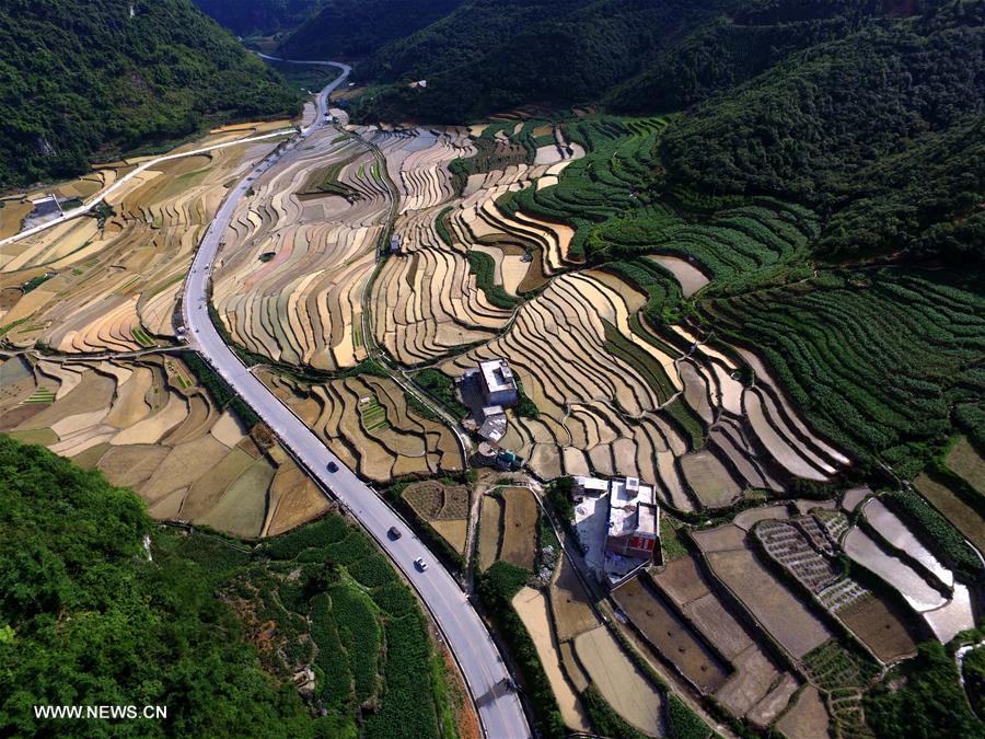 #CHINA-GUANGXI-BAISE-TERRACED FIELDS (CN)