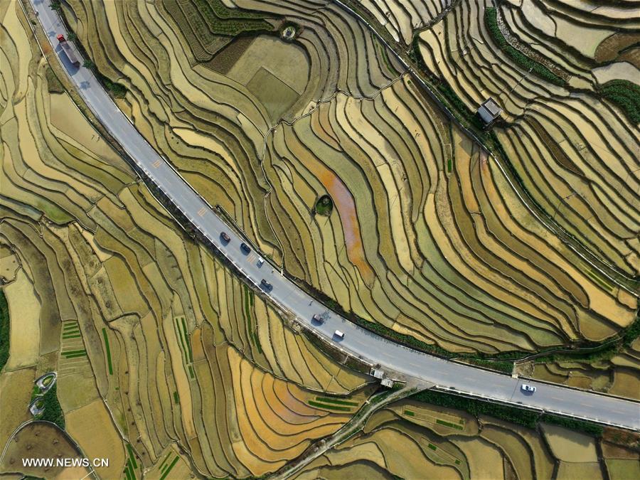 #CHINA-GUANGXI-BAISE-TERRACED FIELDS (CN)