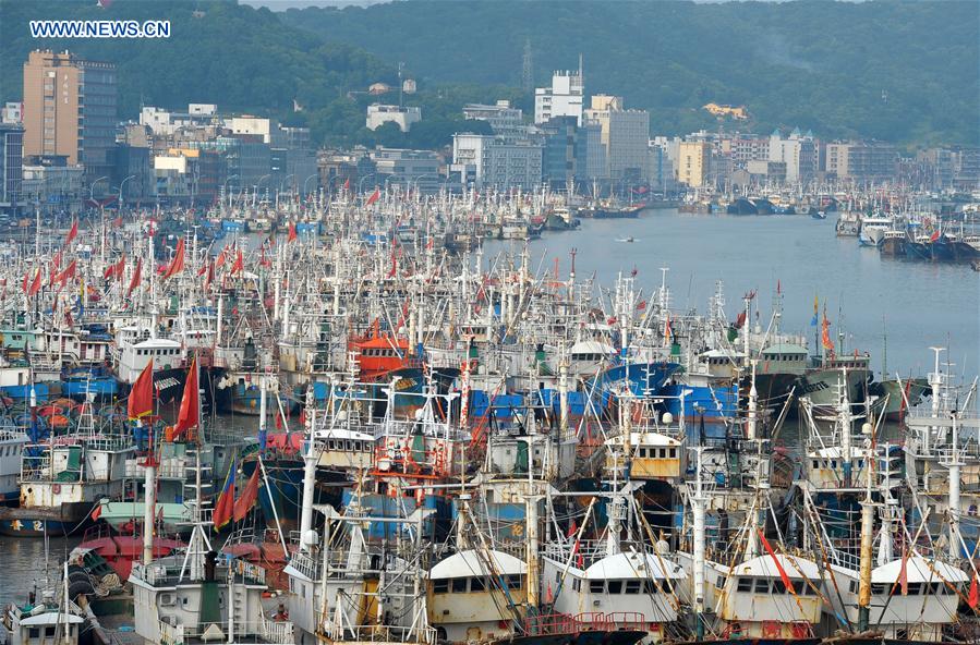 Fishing vessels are seen at the Shenjiamen port before the summer fishing moratorium starts in Zhoushan, east China's Zhejiang Province, May 30, 2016. 