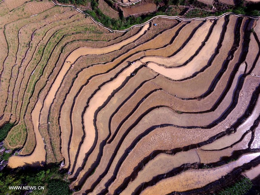 #CHINA-GUANGXI-BAISE-TERRACED FIELDS (CN)