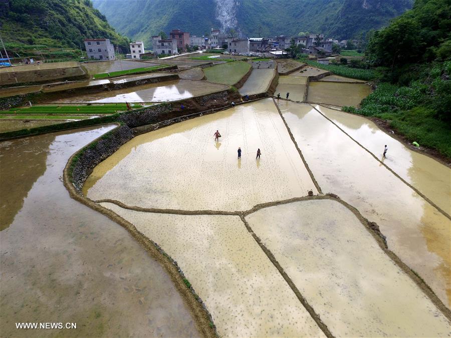 #CHINA-GUANGXI-BAISE-TERRACED FIELDS (CN)