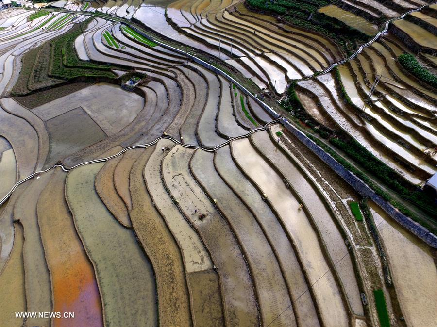 #CHINA-GUANGXI-BAISE-TERRACED FIELDS (CN)