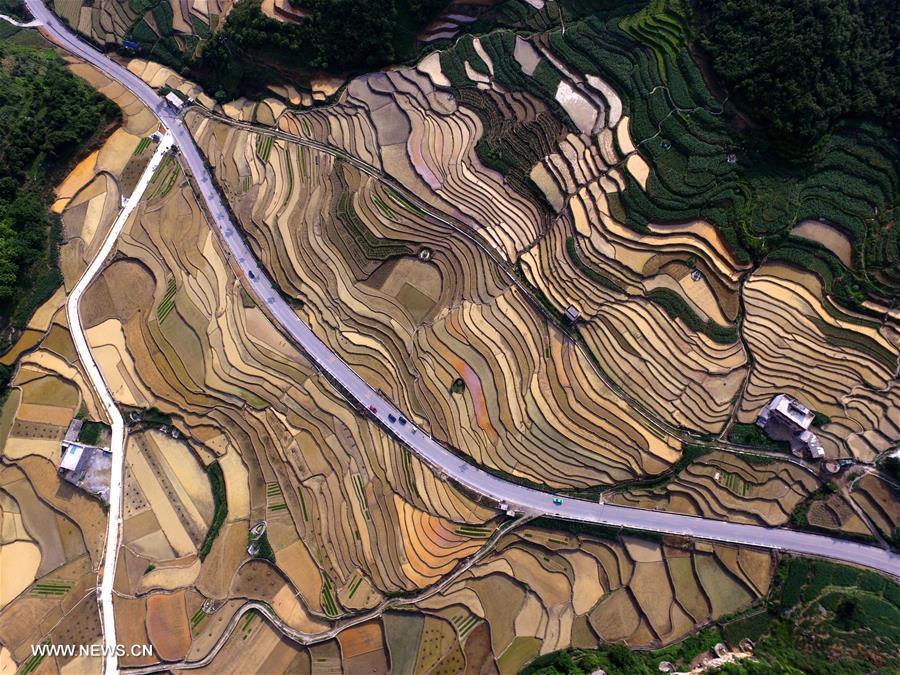 #CHINA-GUANGXI-BAISE-TERRACED FIELDS (CN)