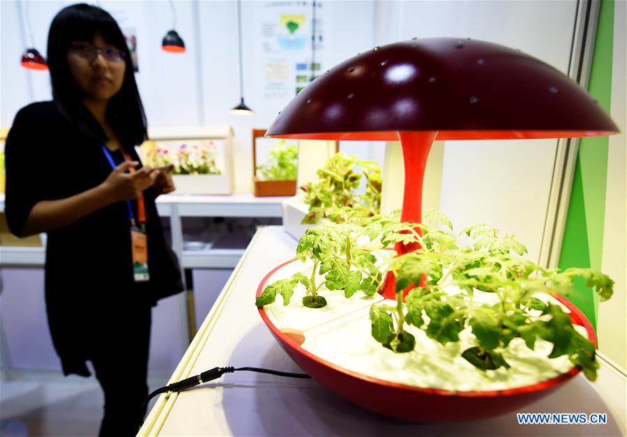 Photo taken on May 30, 2016 shows a LED plant cultivation equipment at the fourth China Beijing International Fair for Trade in Services in Beijing, capital of China. 