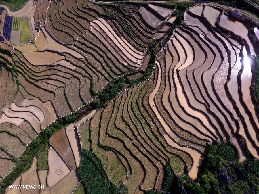 #CHINA-GUANGXI-BAISE-TERRACED FIELDS (CN)