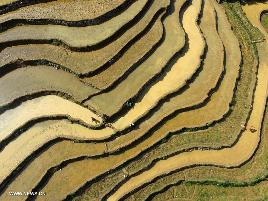#CHINA-GUANGXI-BAISE-TERRACED FIELDS (CN)