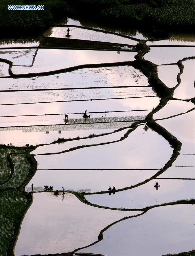 #CHINA-GUANGXI-FARMING-LANDSCAPE (CN)