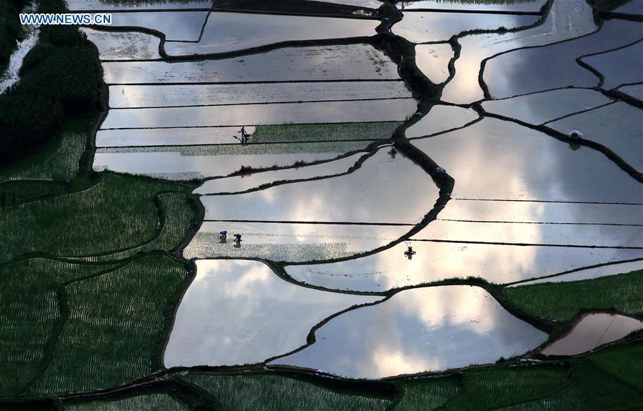#CHINA-GUANGXI-FARMING-LANDSCAPE (CN)