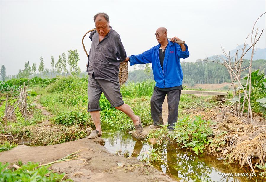 CHINA-HEBEI-BLIND MAN AND ARMLESS MAN-TREE PLANTING(CN)