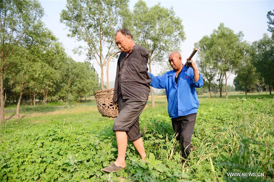 CHINA-HEBEI-BLIND MAN AND ARMLESS MAN-TREE PLANTING(CN)