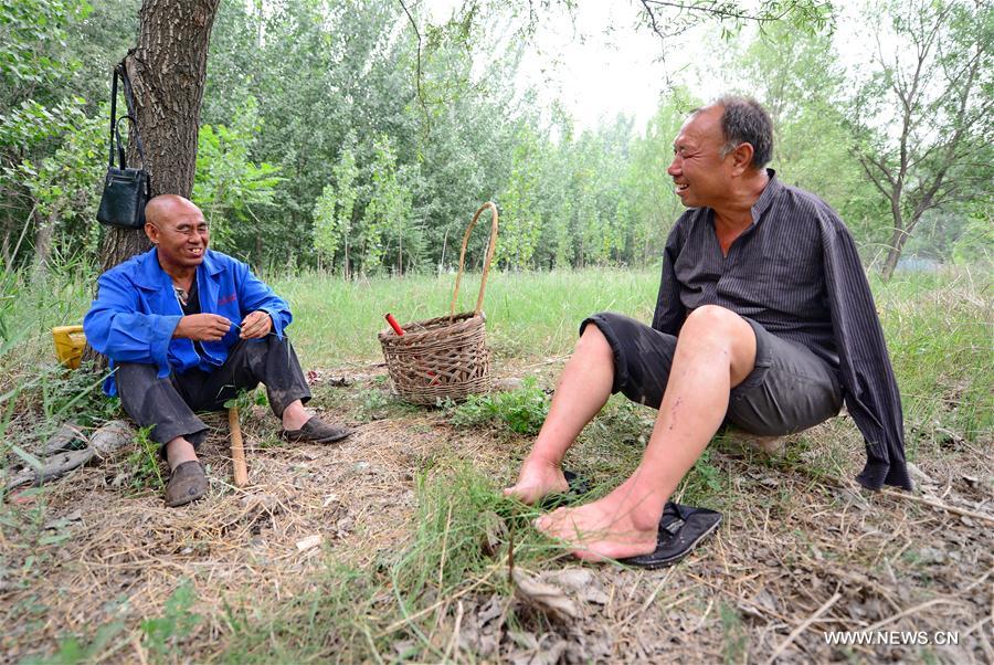 CHINA-HEBEI-BLIND MAN AND ARMLESS MAN-TREE PLANTING(CN)