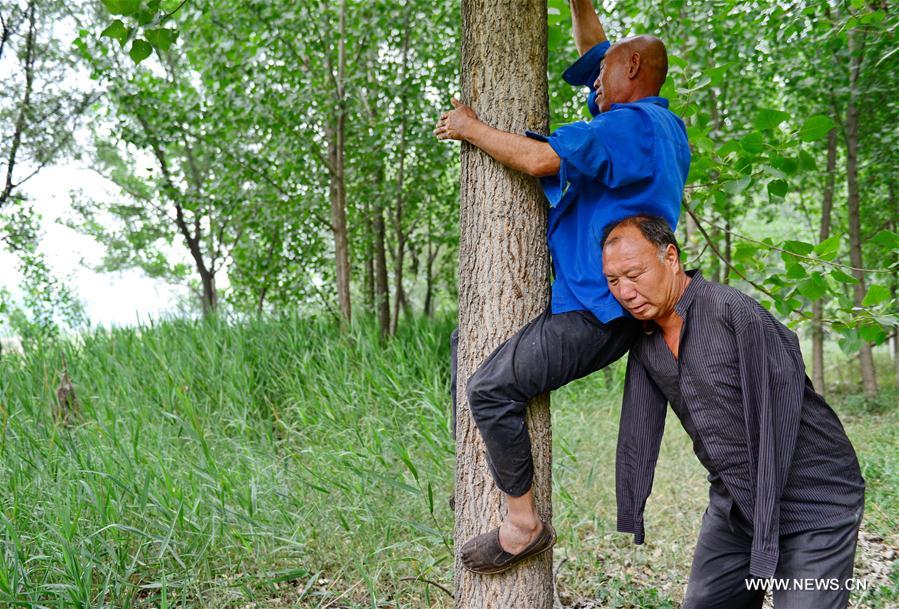 CHINA-HEBEI-BLIND MAN AND ARMLESS MAN-TREE PLANTING(CN)