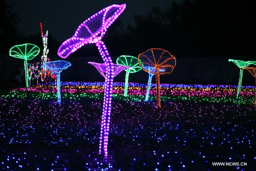 Colorful lights are displayed at an LED light festival in Linfen City, north China's Shanxi Province, June 3, 2016