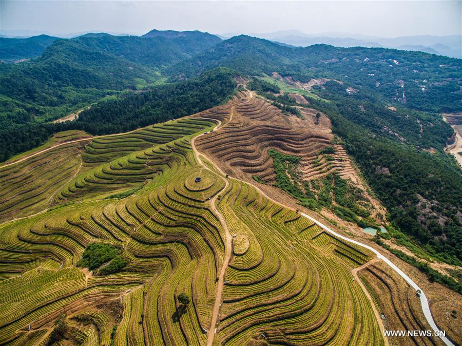 CHINA-ZHEJIANG-MINE-TRANSFORM (CN)