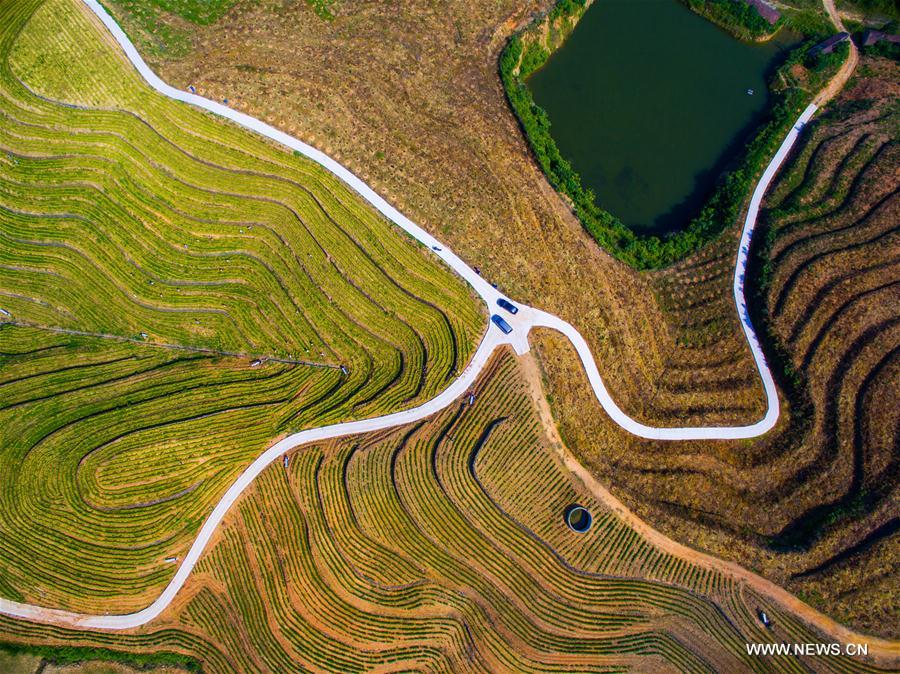 CHINA-ZHEJIANG-MINE-TRANSFORM (CN)