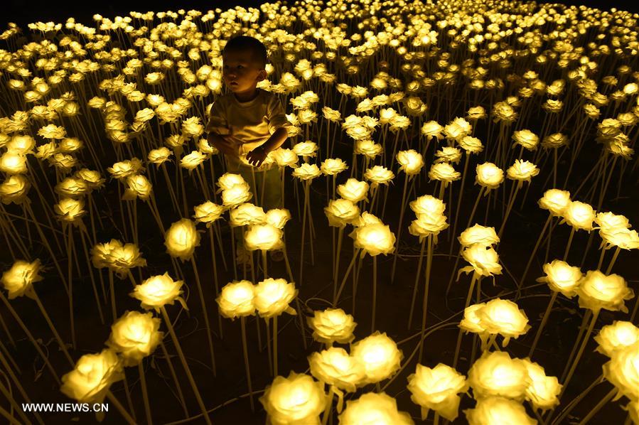 CHINA-SHANXI-TAIYUAN-LIGHT FESTIVAL (CN)
