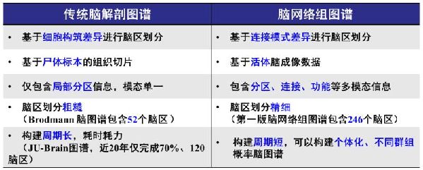 中国科学家领衔绘制出全新的人类脑图谱