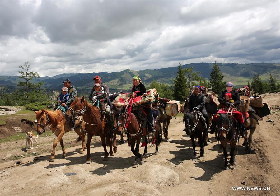 Herdsmen of Kazakh ethnic group here are busy with transferring livestock to summer pastures. 