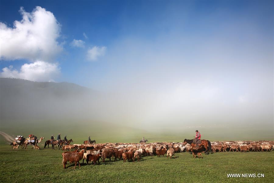 Herdsmen of Kazakh ethnic group here are busy with transferring livestock to summer pastures. 