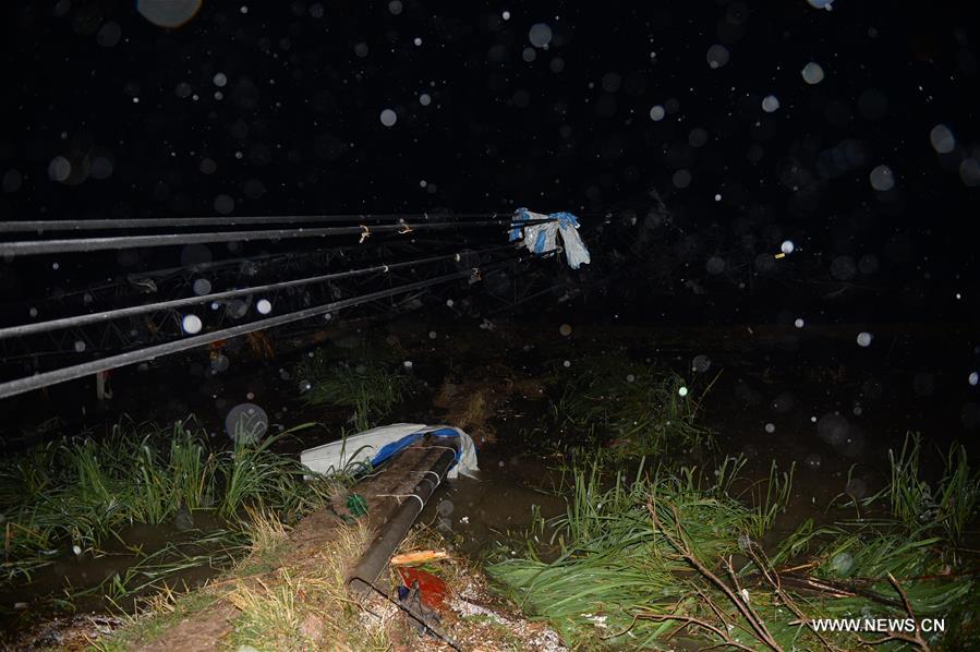 Nearly 500 people were injured, 200 critically. (CN)