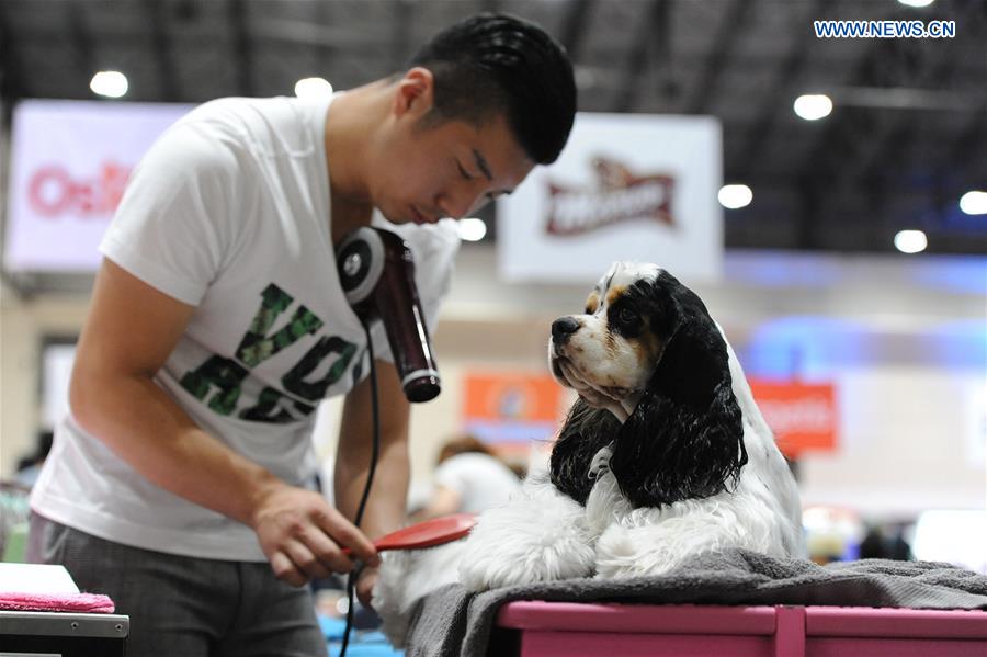 THAILAND-BANGKOK-DOG SHOW 2016