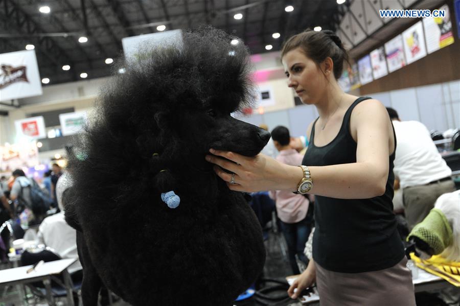 THAILAND-BANGKOK-DOG SHOW 2016