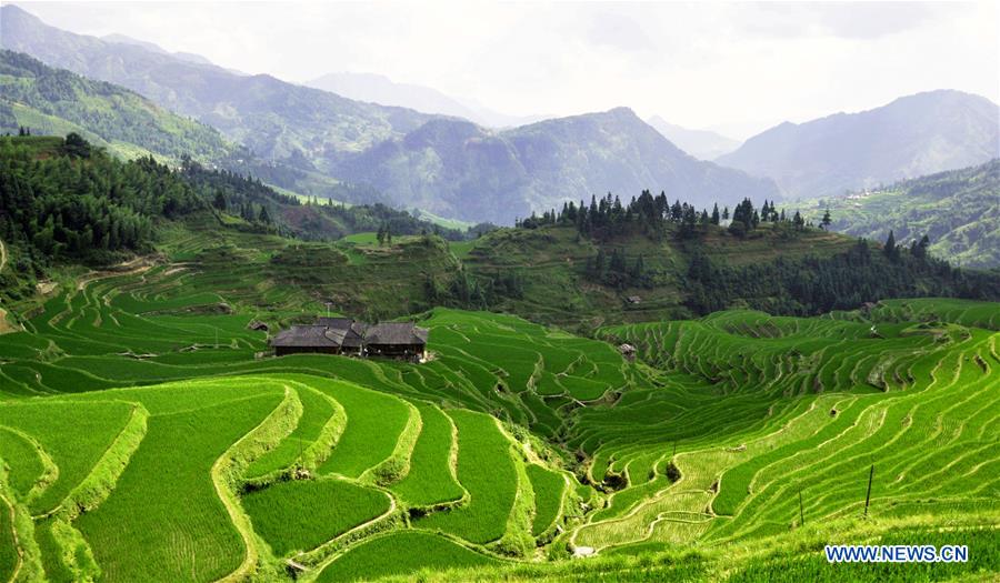 #CHINA-GUIZHOU-CONGJIANG-TERRACED FIELDS (CN) 