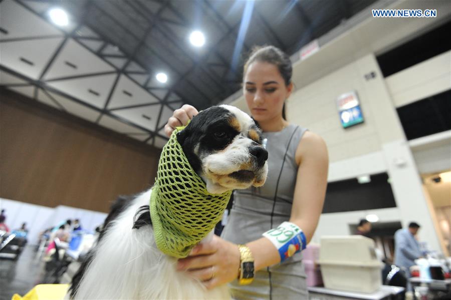 THAILAND-BANGKOK-DOG SHOW 2016