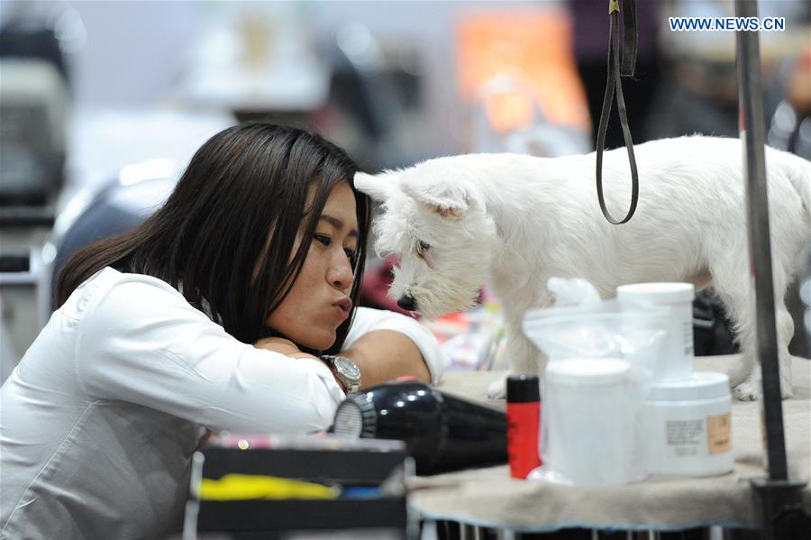 THAILAND-BANGKOK-DOG SHOW 2016