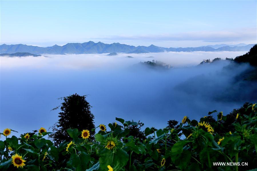 #CHINA-ANHUI-HUANGSHAN-SCENERY (CN)