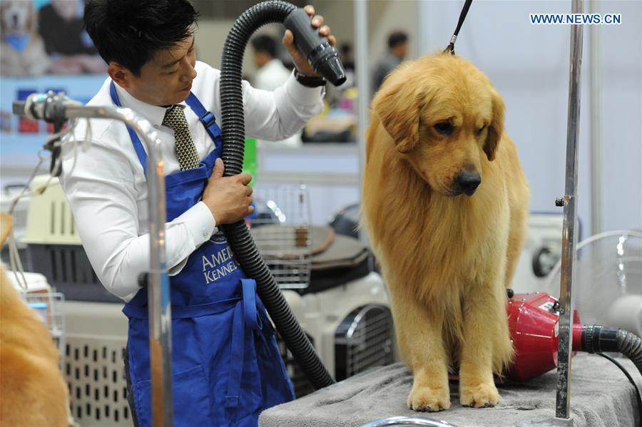 THAILAND-BANGKOK-DOG SHOW 2016