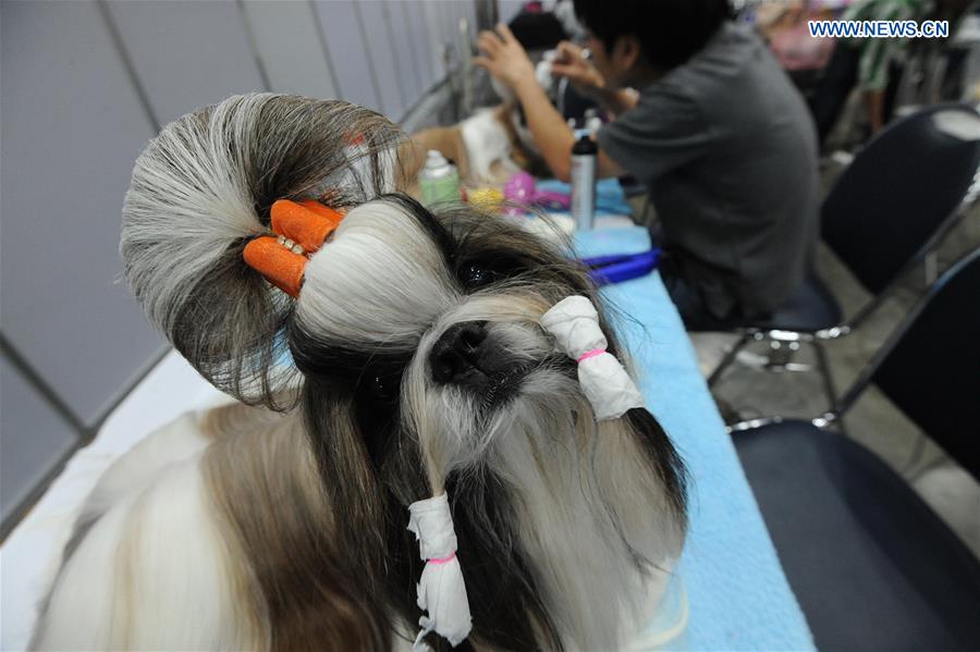 THAILAND-BANGKOK-DOG SHOW 2016