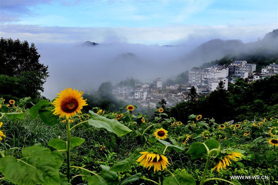 #CHINA-ANHUI-HUANGSHAN-SCENERY (CN)