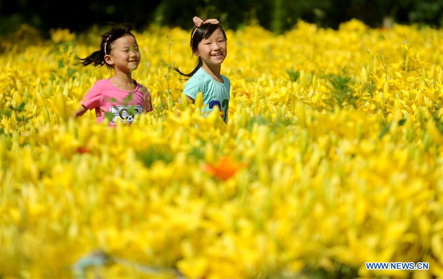 #CHINA-SHENYANG-LILY FLOWERS (CN)