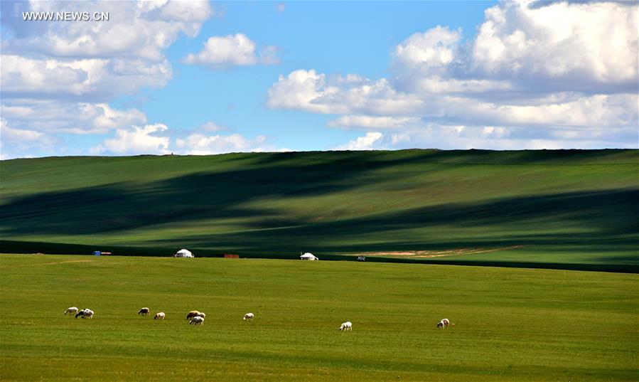 CHINA-INNER MONGOLIA-XILINGOL-GRASSLAND (CN)