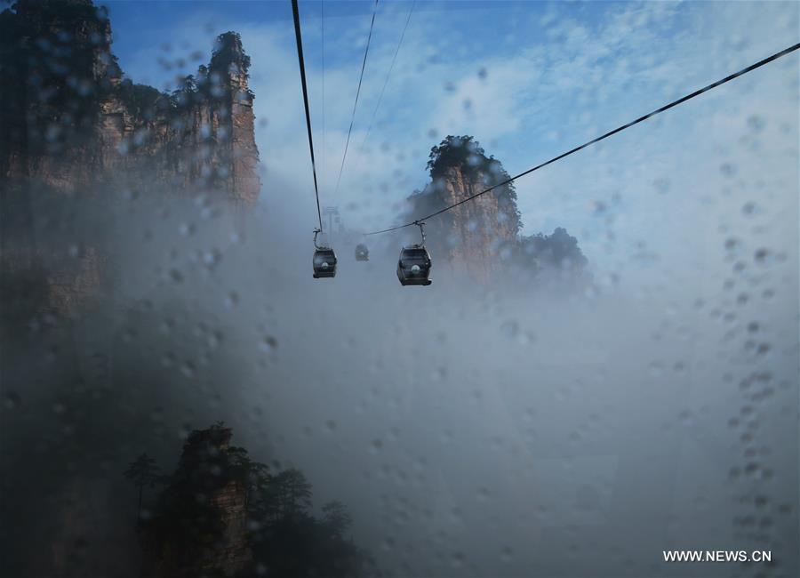 Tourist cable cars are seen on Tianzi Mountain surrounded by fogs in Wulingyuan scenic area, a UNESCO world Heritage site in Zhangjiajie in central China's Hunan province, July 7, 2016