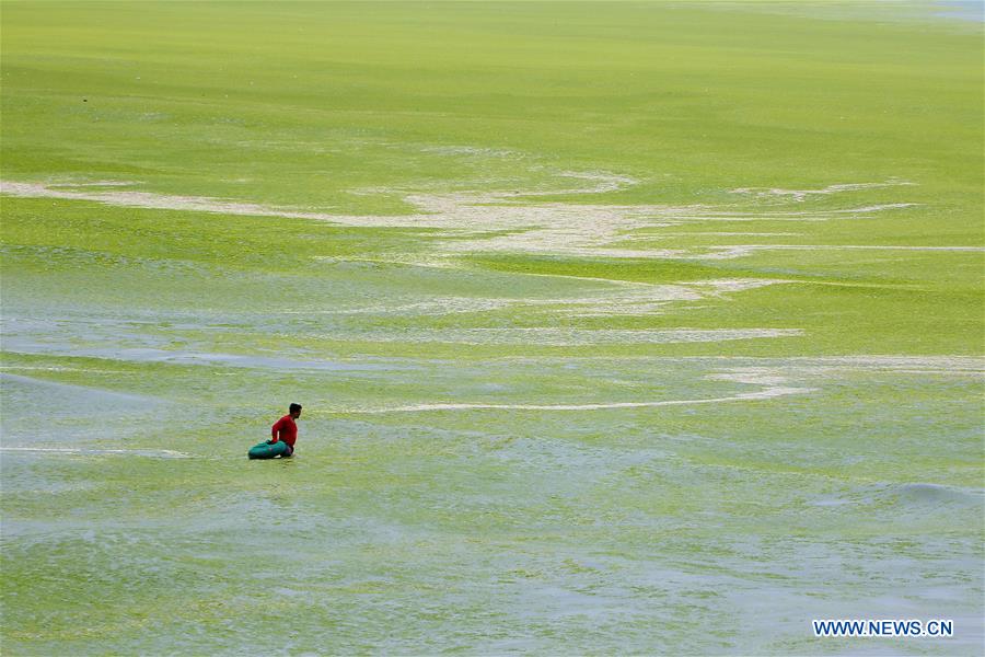 WEEKLY CHOICES OF XINHUA PHOTO 