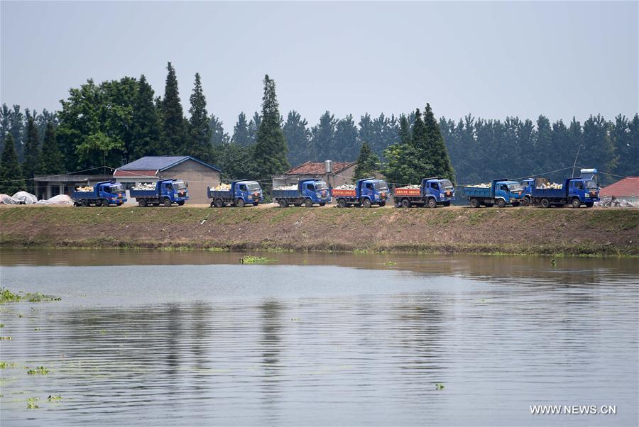 CHINA-HUNAN-HUARONG-FLOOD-DIKE BREACH (CN)