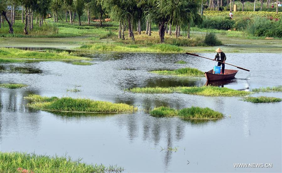 CHINA-KUNMING-WETLAND PARKS (CN)