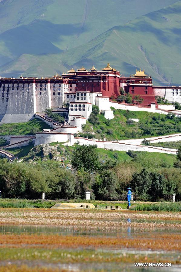 CHINA-LHASA-LALU WETLAND-FLOOD PREVENTION(CN)