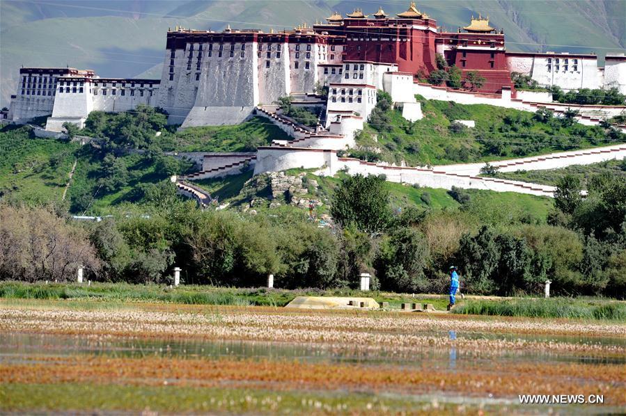 CHINA-LHASA-LALU WETLAND-FLOOD PREVENTION(CN)