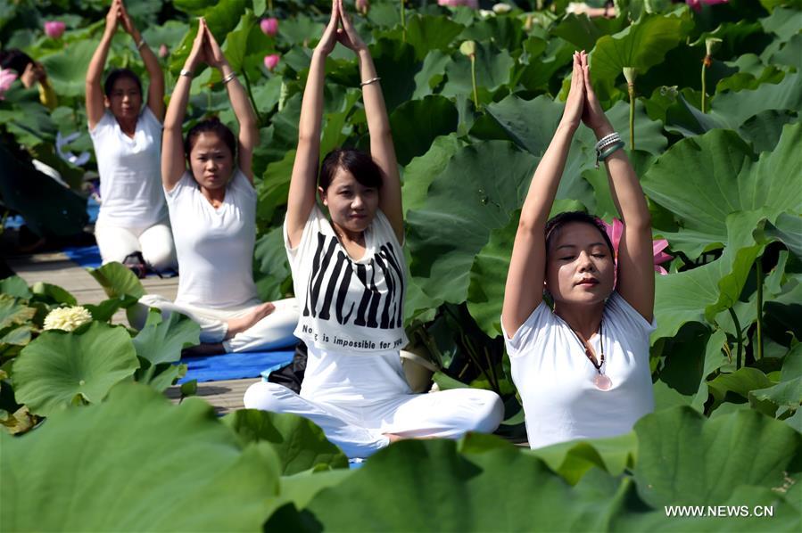 CHINA-FUJIAN-LOTUS-FLOWER (CN)