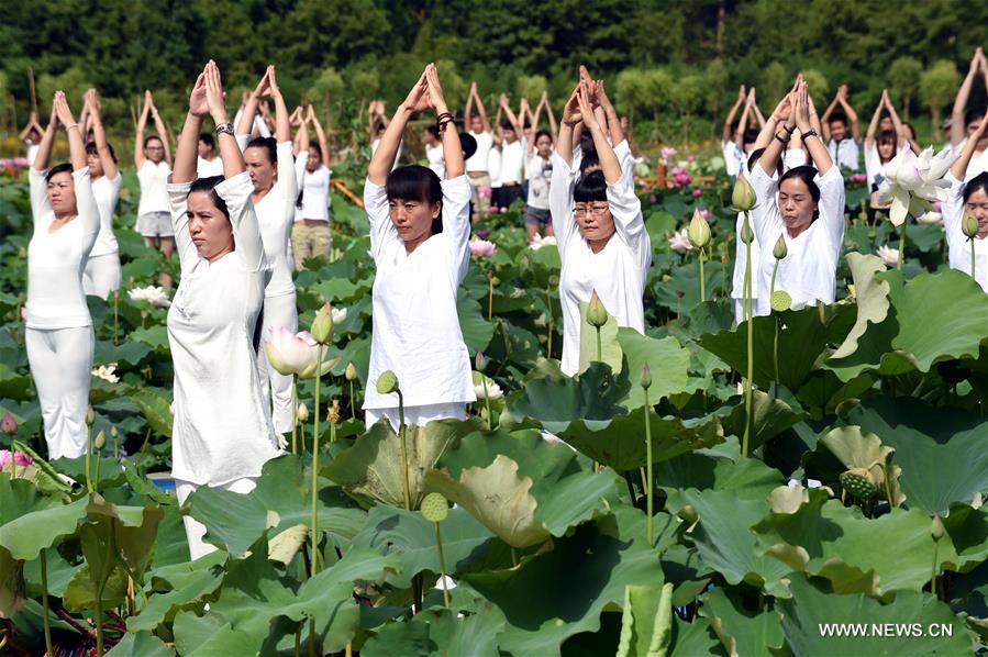 CHINA-FUJIAN-LOTUS-FLOWER (CN)