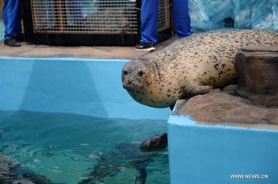 CHINA-HEILONGJIANG-SEALS (CN)