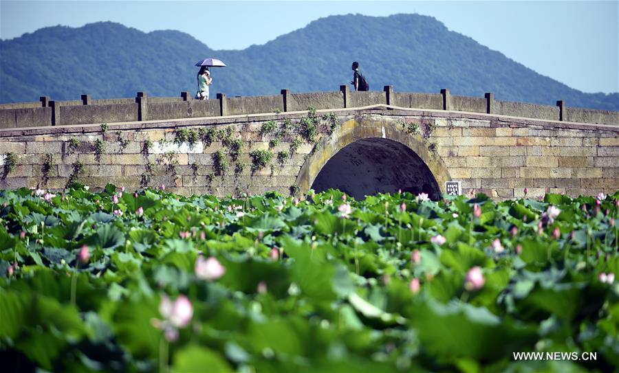 CHINA-ZHEJIANG-HEAT-ORANGE ALERT (CN)
